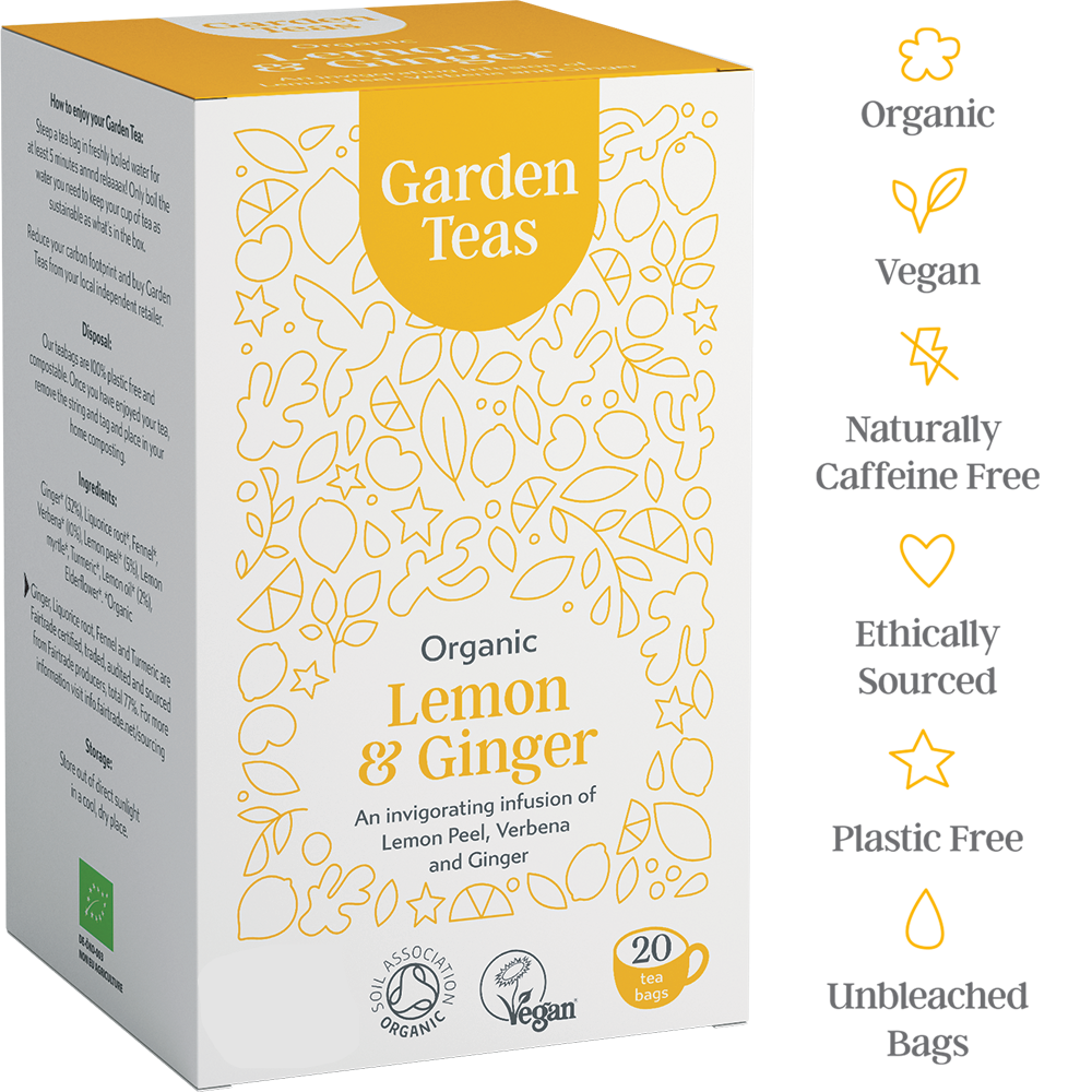 Organic Lemon & Ginger 20 Plastic Free Envelopes