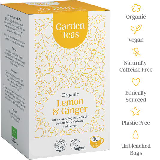 Organic Lemon & Ginger 20 Plastic Free Envelopes