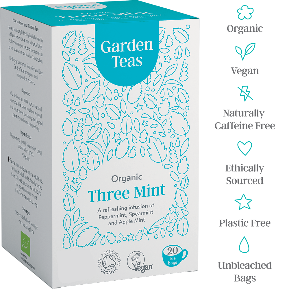 Organic Three Mint Infusion 20 Plastic Free Envelopes