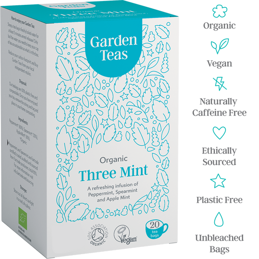 Organic Three Mint Infusion 20 Plastic Free Envelopes