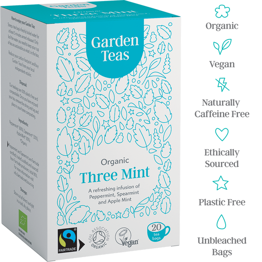 Organic Fairtrade Three Mint Infusion 20 Plastic Free Envelopes - Garden Teas